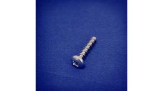 SCREW-#10X1.0"PPH HI-LO SS